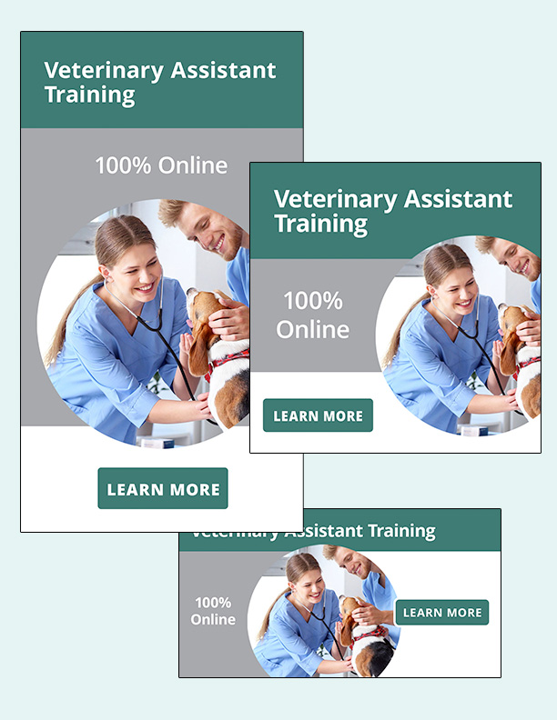 Read more about the article Social Media: Veterinary Assistant